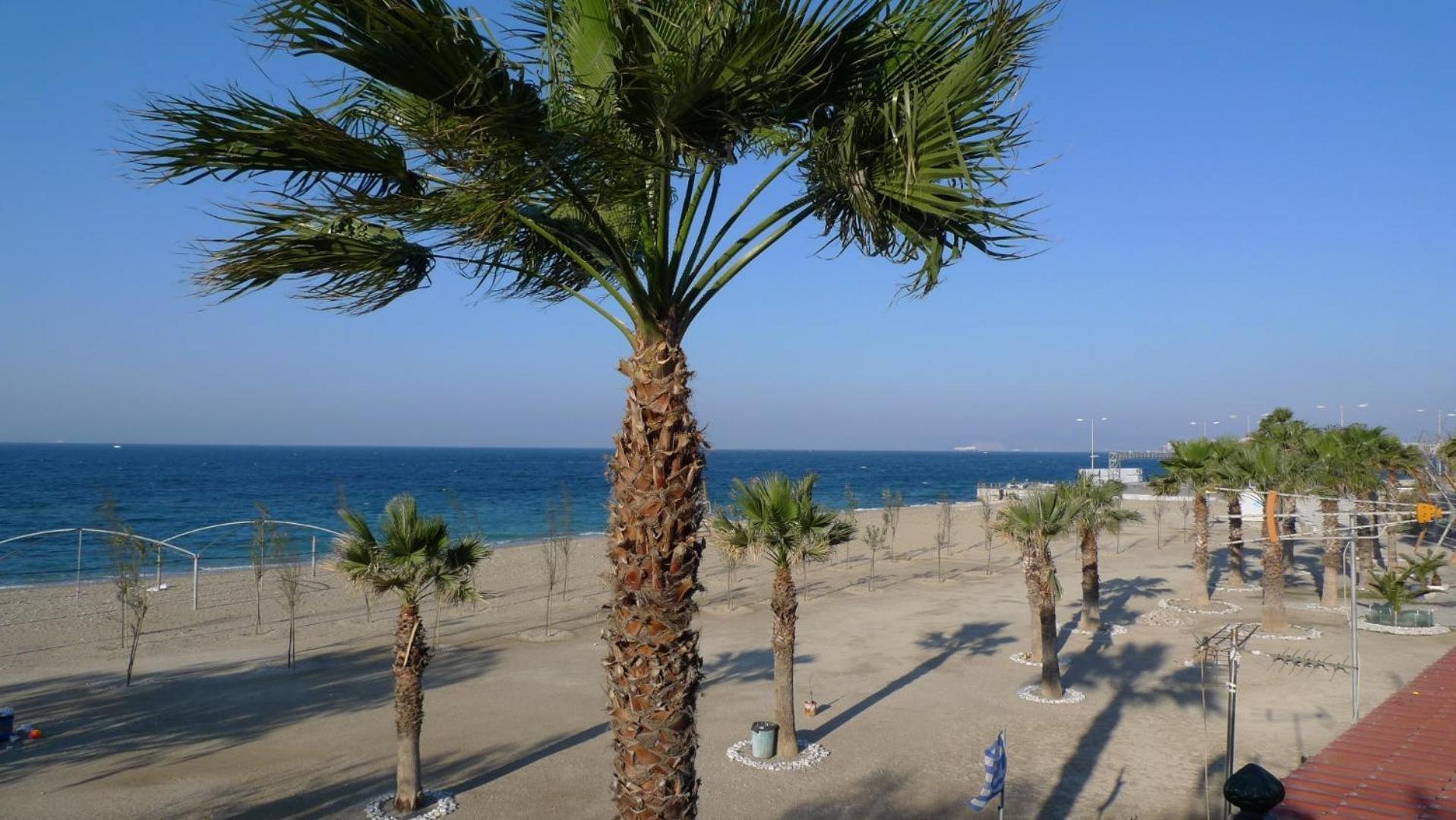Athenian Riviera Front 2 Minutes From Tram Stop Apartment Athens
